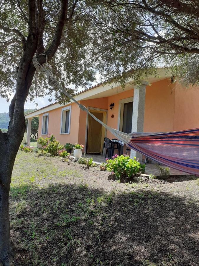 Agriturismo Gli Olivastri Appartamento Corbezzolo Con Piscina E Vista Mare,Climatizzatore,Wifi Aglientu Buitenkant foto