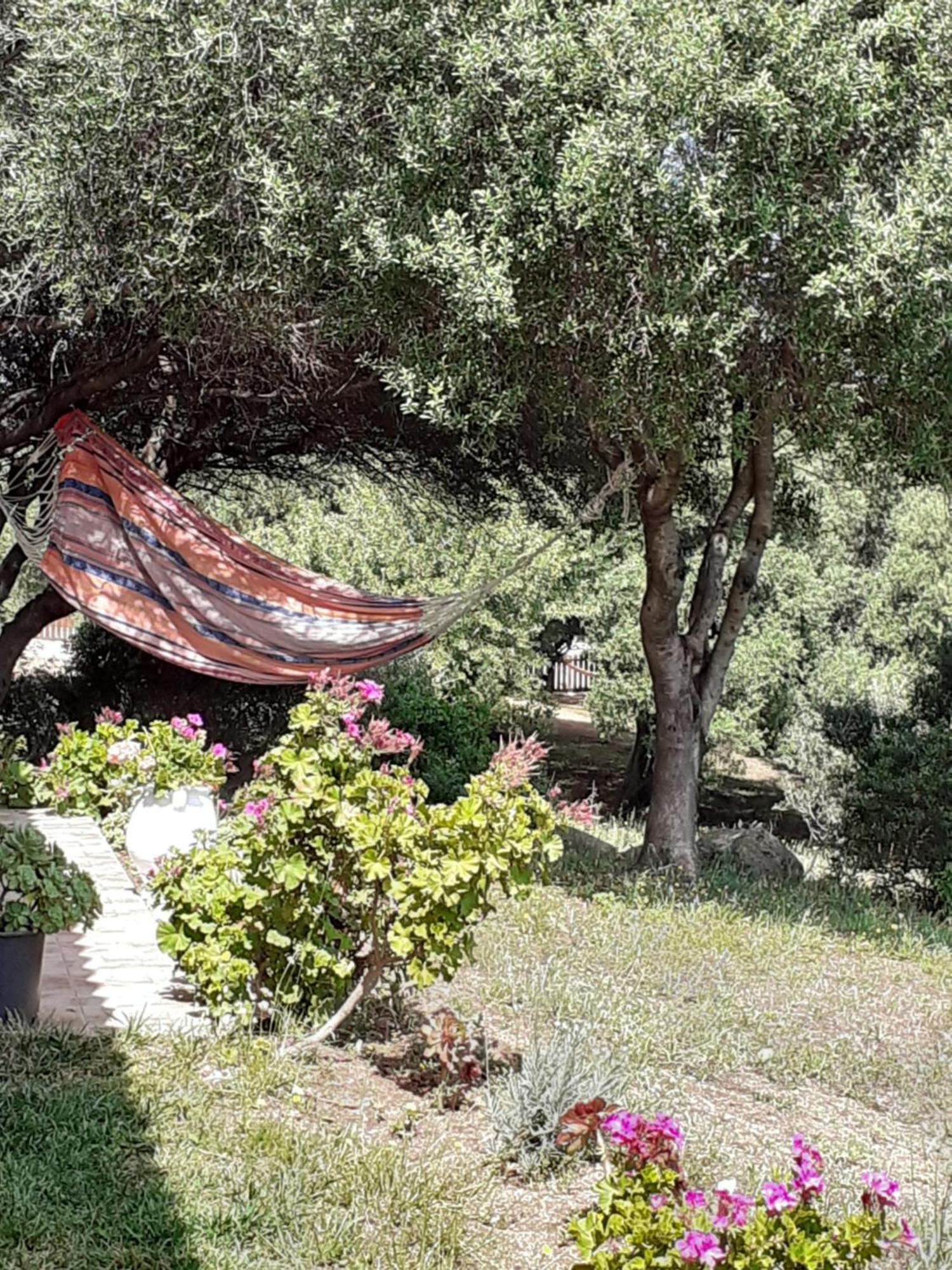 Agriturismo Gli Olivastri Appartamento Corbezzolo Con Piscina E Vista Mare,Climatizzatore,Wifi Aglientu Buitenkant foto